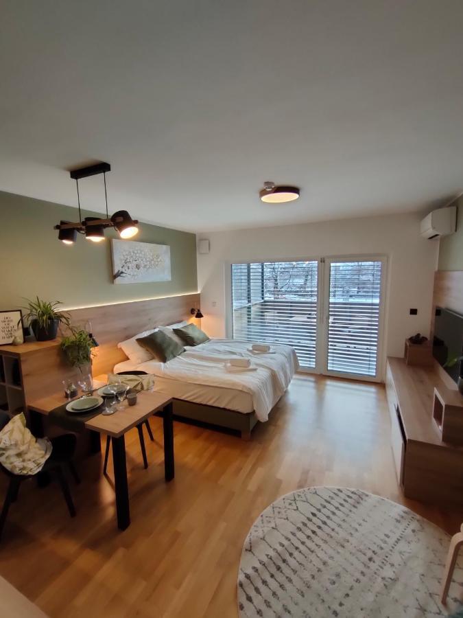 Bed & Breakfast Rezidenca Pipanova 卢布尔雅那 外观 照片